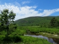 IMG_4488.JPG