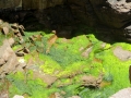 IMG_4500.JPG
