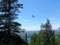 IMG_4528.JPG