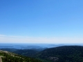 IMG_4535.JPG
