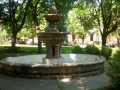 IMG_20150604_143804945.jpg