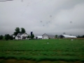 IMG_20150601_172259916.jpg