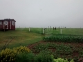 IMG_20150601_173341762.jpg