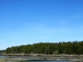 IMG_4467.JPG