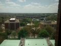 IMG_20150409_130221365.jpg