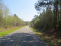IMG_8211.JPG