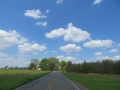 IMG_8276.JPG