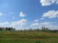 IMG_8287.JPG