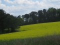 IMG_8293.JPG