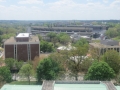 IMG_8421.JPG