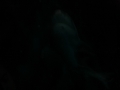 IMG_20140812_140832193
