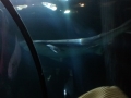 IMG_20140812_140924962