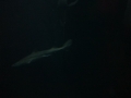 IMG_20140812_141657888