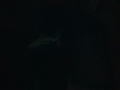 IMG_20140812_141716580