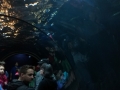 IMG_20140812_142147240
