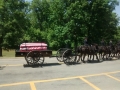 IMG_20150514_151809561.jpg