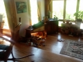 IMG_20150522_115646311.jpg