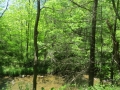 IMG_1938.JPG