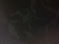 IMG_20150327_150919655.jpg
