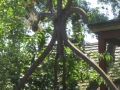 IMG_7284.JPG
