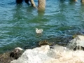 IMG_20140816_132755788 - Kopie