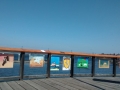 IMG_20140816_133747995