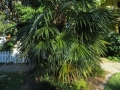 IMG_0286 - Kopie - Kopie - Kopie