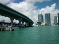 IMG_20150309_123815564.jpg