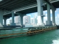 IMG_20150309_124154972.jpg