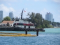 IMG_5419.JPG