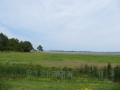 IMG_0963.JPG