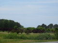 IMG_0976.JPG