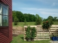 IMG_20150607_172058295.jpg