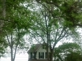 IMG_20150511_142615645.jpg