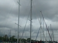 IMG_20150511_143410890.jpg