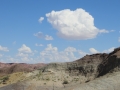 IMG_4797