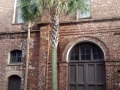 IMG_20150425_181938099.jpg
