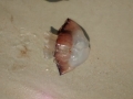 IMG_20150319_123430965.jpg