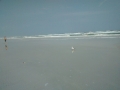 IMG_20150319_123516470.jpg