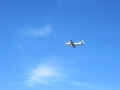 IMG_5964.JPG