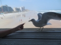 IMG_6774.JPG