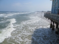 IMG_6782.JPG