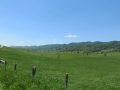 IMG_2229.JPG