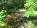 IMG_2255.JPG