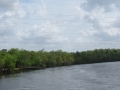 IMG_7706.JPG