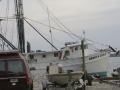 IMG_7796.JPG