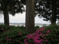 IMG_7803.JPG