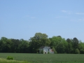 IMG_1212.JPG