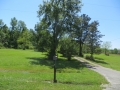 IMG_9790.JPG