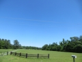 IMG_9796.JPG
